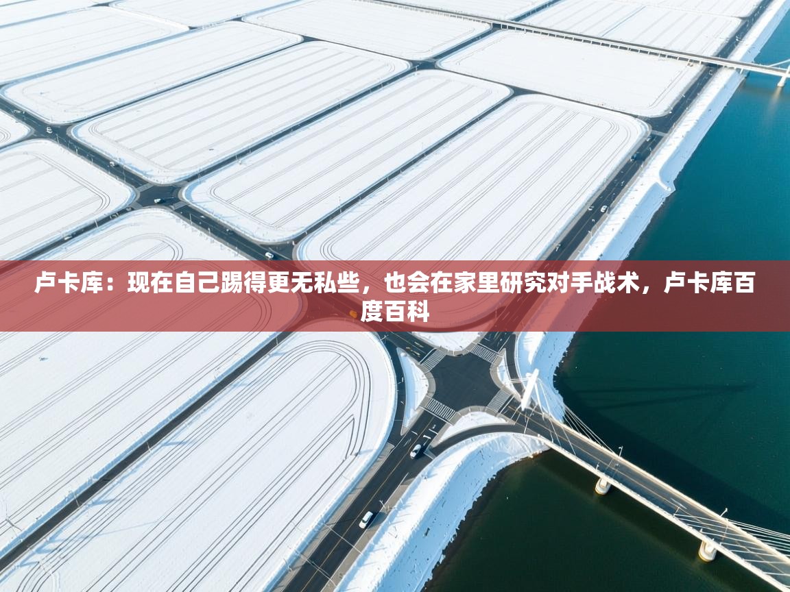 开运体育-卢卡库：现在自己踢得更无私些，也会在家里研究对手战术，卢卡库百度百科  第3张