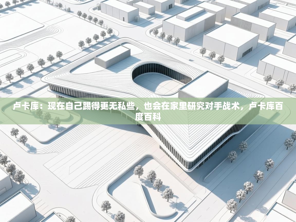 开运体育-卢卡库：现在自己踢得更无私些，也会在家里研究对手战术，卢卡库百度百科  第2张