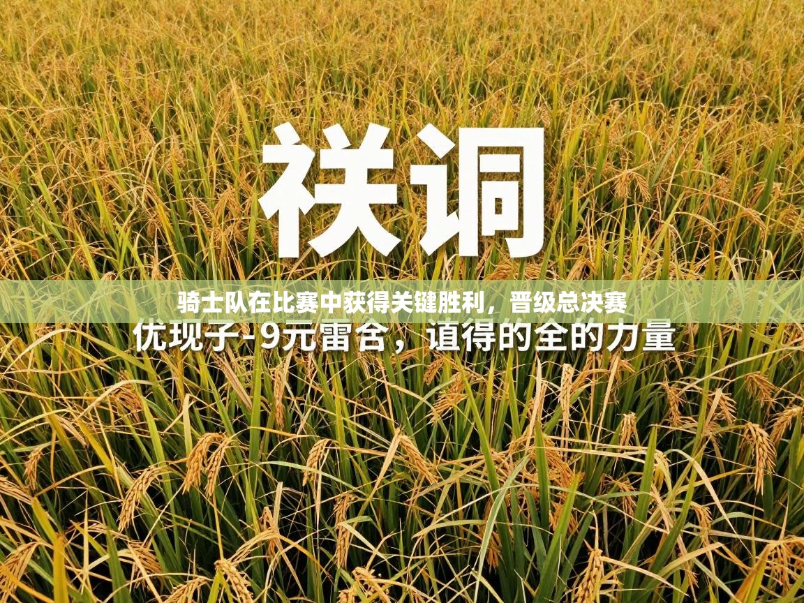 开云体育英文版入口-骑士队在比赛中获得关键胜利,晋级总决赛 第1张