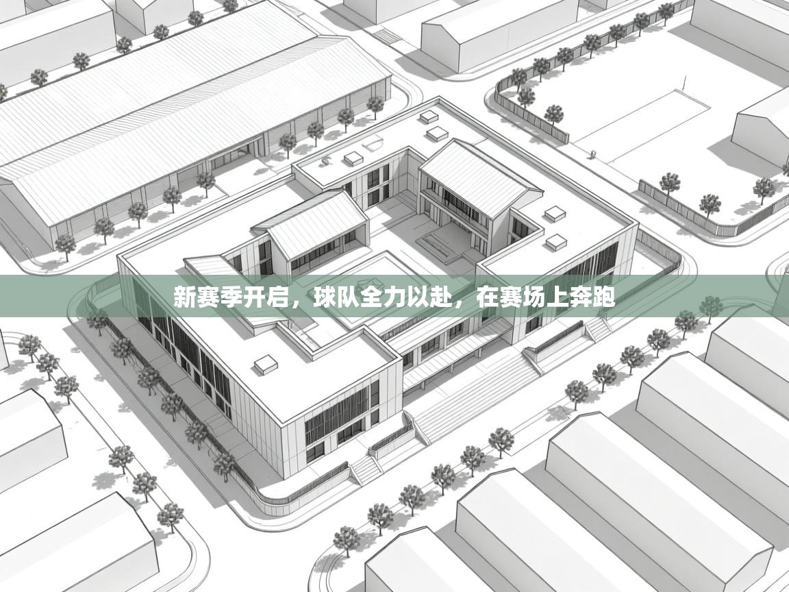 开云体育app网页版入口-新赛季开启，球队全力以赴，在赛场上奔跑  第3张