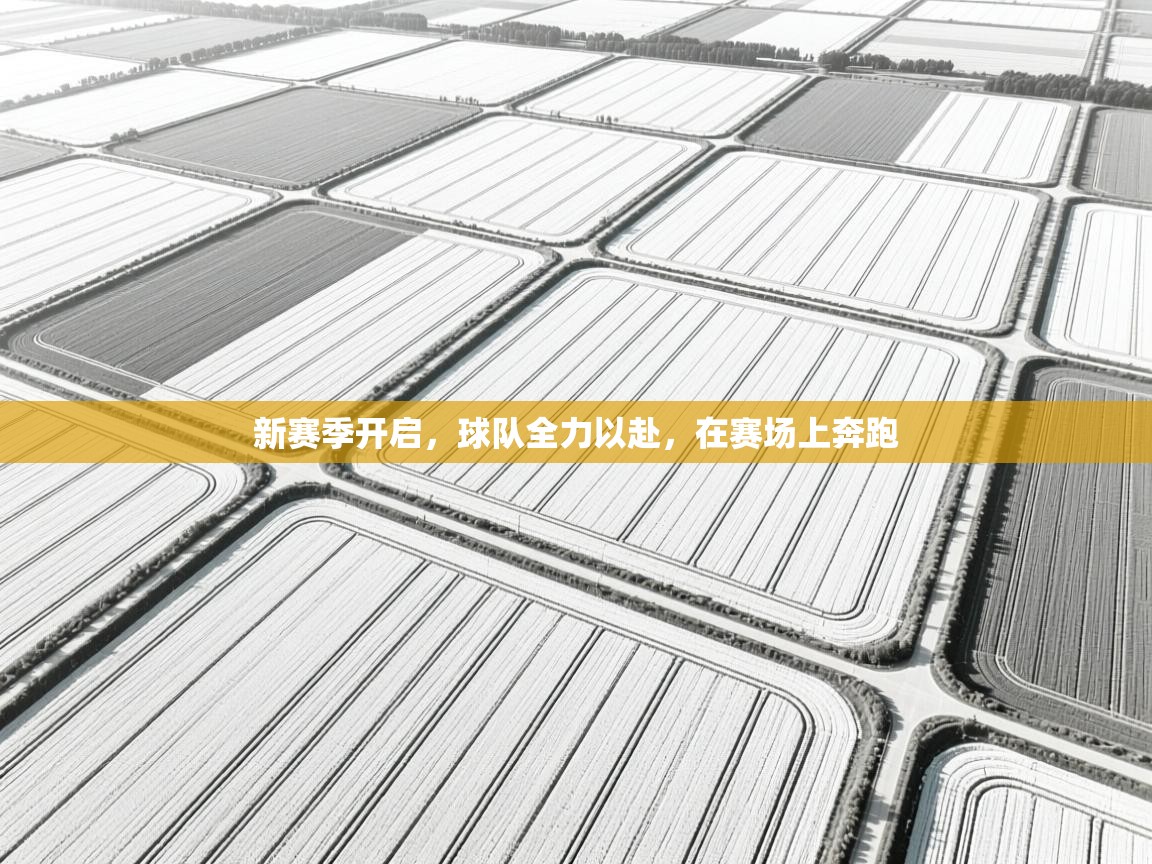 开云体育app网页版入口-新赛季开启，球队全力以赴，在赛场上奔跑  第4张