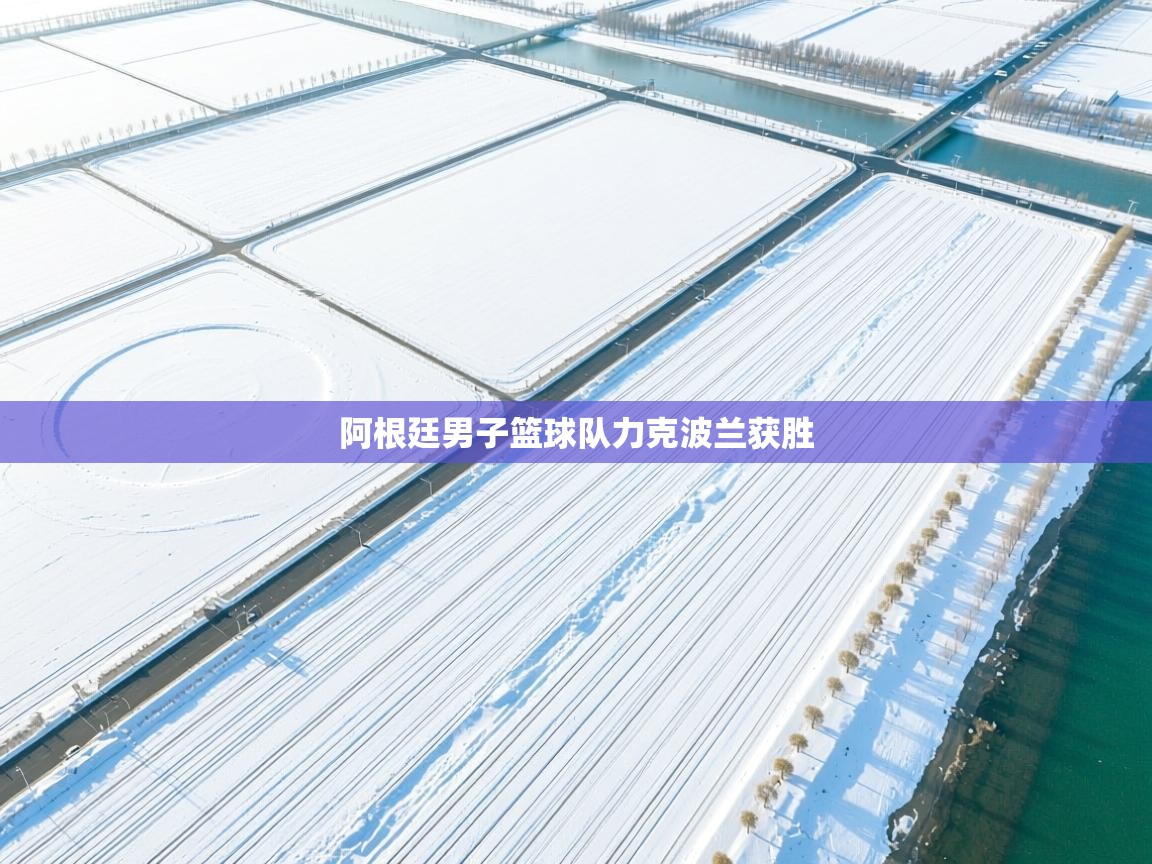 开云体育新人指引-阿根廷男子篮球队力克波兰获胜  第3张