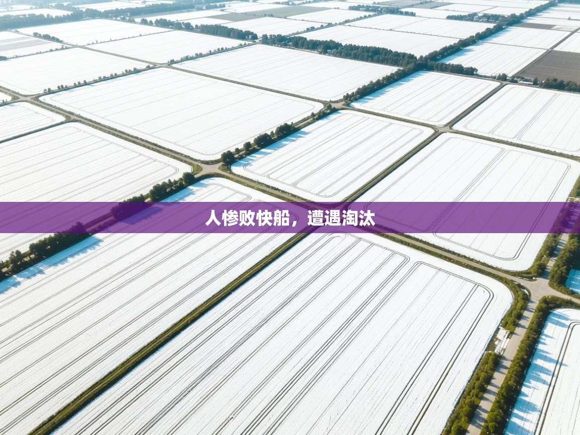 开云直播-人惨败快船，遭遇淘汰  第2张