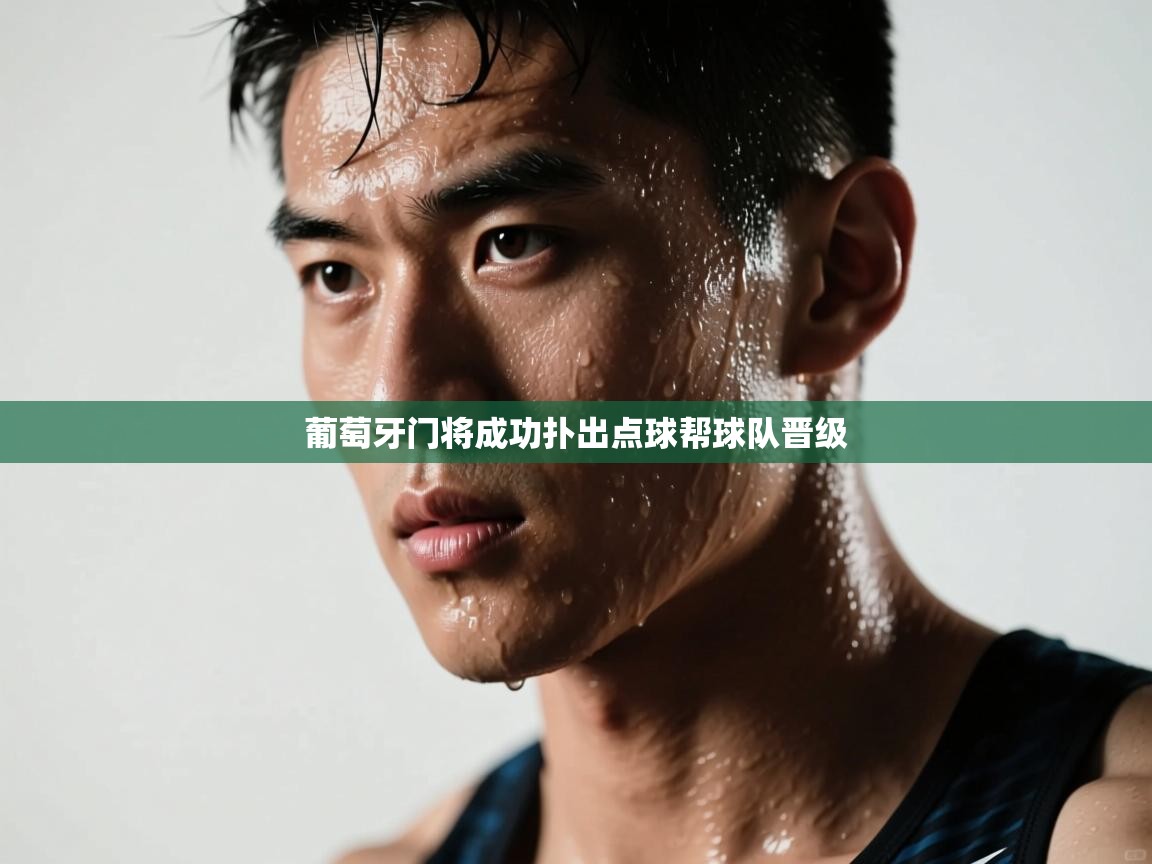 开云体育app下载链接-葡萄牙门将成功扑出点球帮球队晋级 第3张