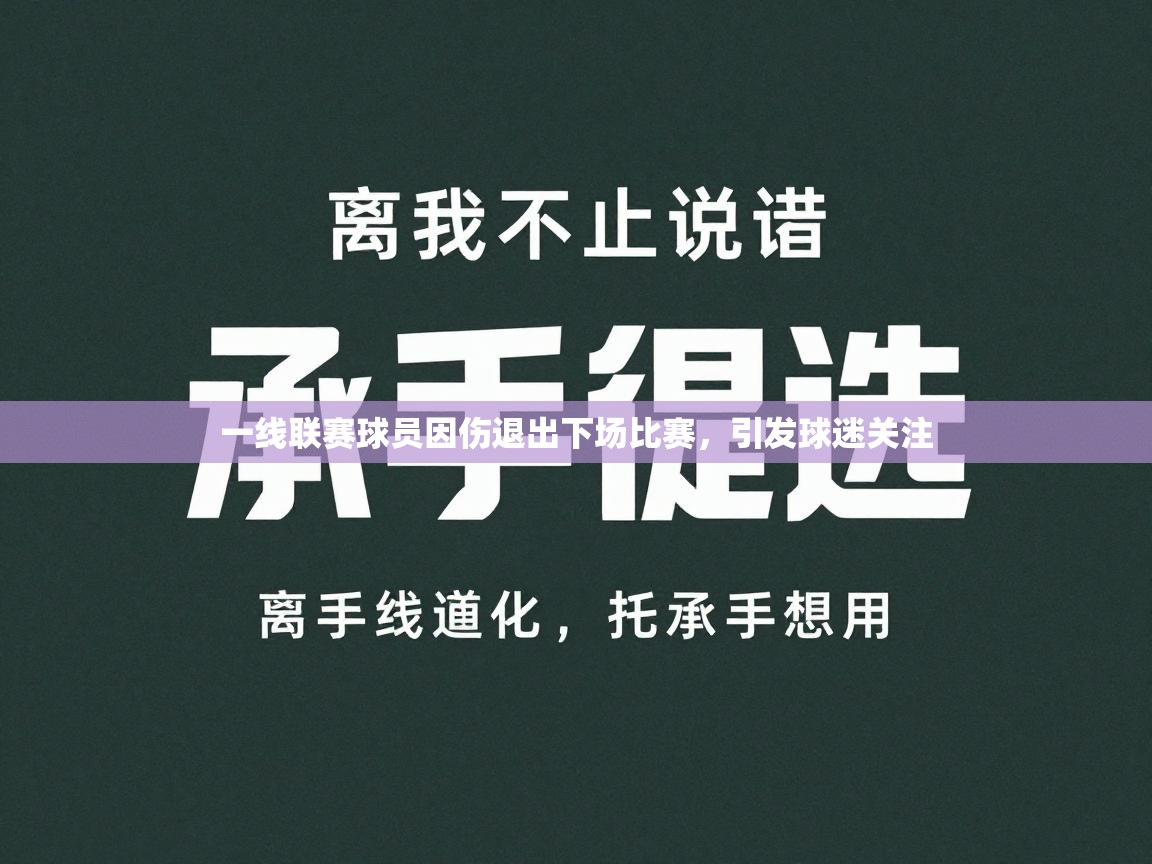 开云体育安装失败怎么办-一线联赛球员因伤退出下场比赛,引发球迷关注 第2张