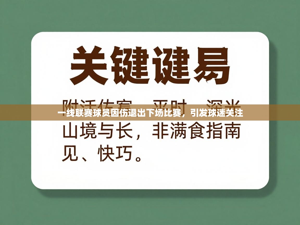 开云体育安装失败怎么办-一线联赛球员因伤退出下场比赛,引发球迷关注 第4张