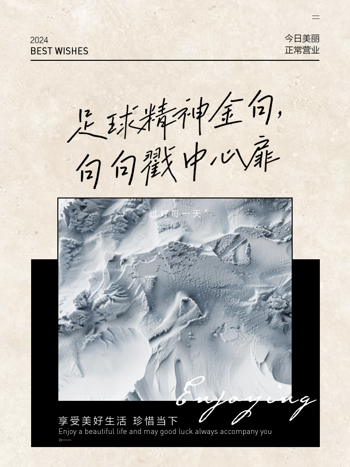 精芒毕露！足球比赛展现团队精神！的简单介绍