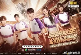 麦高比：前进亚洲巅峰，总决赛梦想渐近的简单介绍